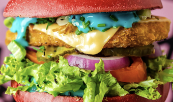 Vegan Junk Food Bar na Spanje nu ook naar Duitsland