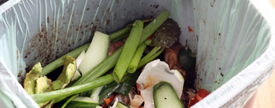 Food Waste City Challenge in Den Haag: ruim 40% minder verspilling