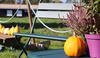 Poffertjes en toppings helpen Ann de Vries door coronacrisis