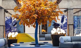 Dit lees je in de gloednieuwe Hotel&Design