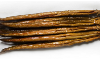 Verduurzaming palingvisserij met SEG-keurmerk