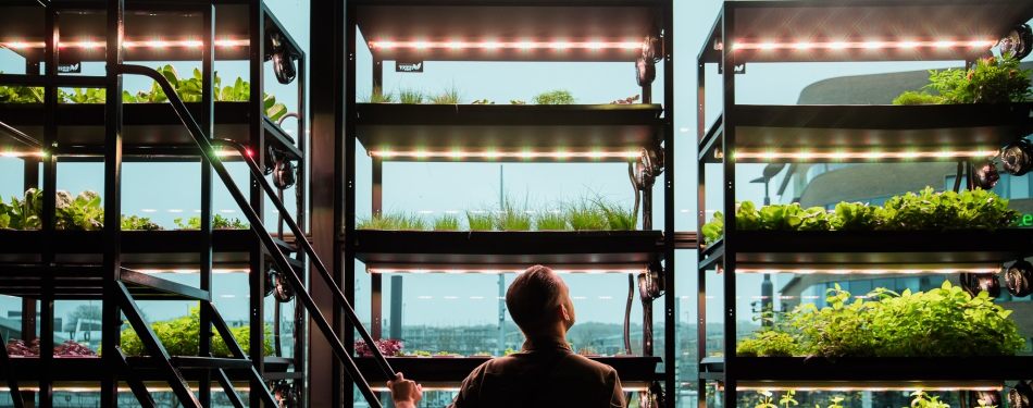 Hotel Haarhuis opent eerste Arnhemse restaurant met Vertical Farm