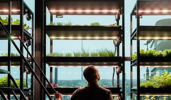 Hotel Haarhuis opent eerste Arnhemse restaurant met Vertical Farm