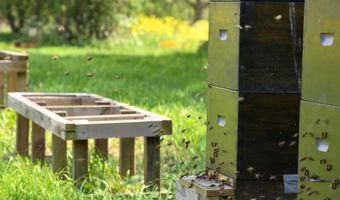 Compass Group gaat samenwerking aan met Local2Local