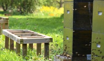 Compass Group gaat samenwerking aan met Local2Local