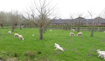 Vijf tips voor een digitale voorjaarsschoonmaak