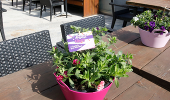 Almeerse horeca klaar voor Floriade