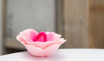 Booking.com onthult de trends voor duurzaam reizen in 2022