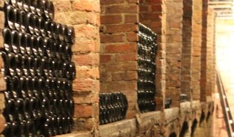 Productie Nederlandse wijn iets gedaald in 2021