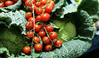 Brabantse restaurants realiseren ruim 50 procent minder verspilling