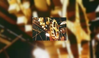 Miljoenen dahlia's voor Alliance chefs