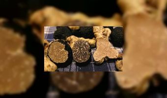 Reflet viert Rôtisseurs-aansluiting met truffel