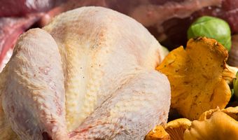 SVH-Meesterkok Theus de Kok: “Wild moet besterven, maar niet verrotten”