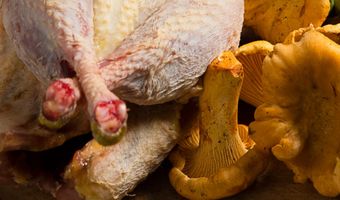 SVH-Meesterkok Theus de Kok: “Wild moet besterven, maar niet verrotten”