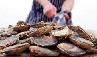 Premier NK Oestersteken vindt plaats op 12 september