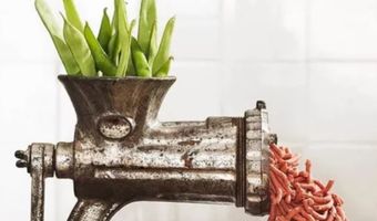 ProVeg: Horecaverkoop vleesvervangers groeide door tijdens lockdown, terwijl vlees hard geraakt werd