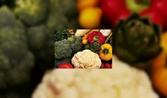 Eerste veganistische B&B