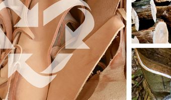 Focus op betekenisvol ondernemen