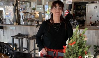 Dertien katten zorgen voor verbinding in kattencafé in Almere