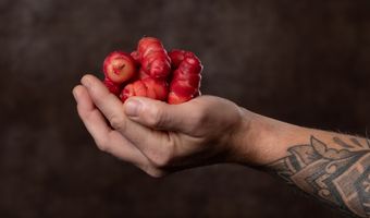 Noordwijkse restaurants serveren gerechten van de toekomst