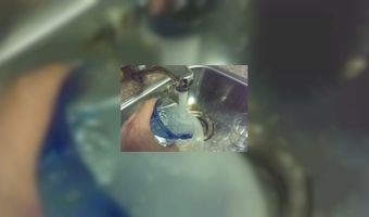 Gratis kraanwater en populaire BN'ers