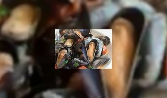 Nationale Mosselweek is gestart