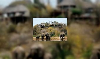 Style Junkies Hotel Awards 2014 bekend