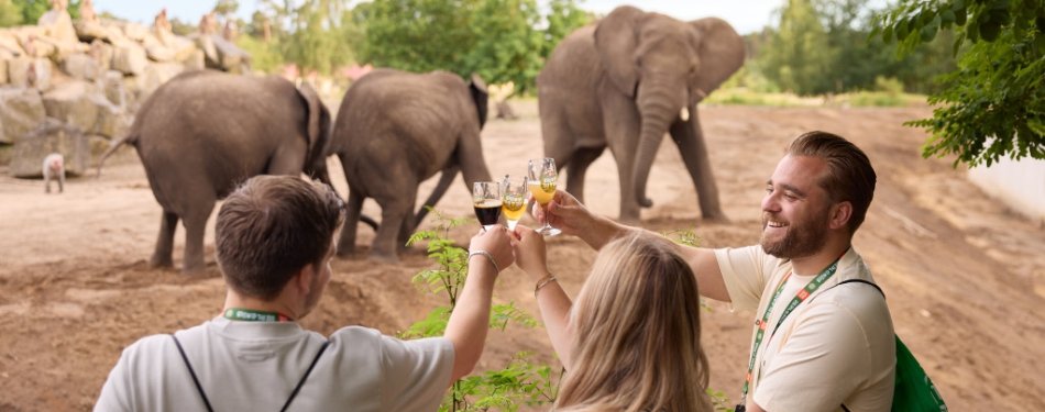 Wegens succes terug bij Beekse Bergen: Brew@theZoo