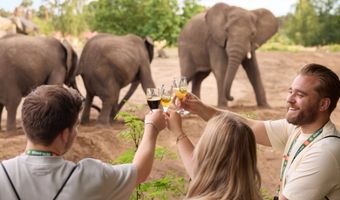 Wegens succes terug bij Beekse Bergen: Brew@theZoo