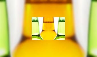 In de ban van het bier