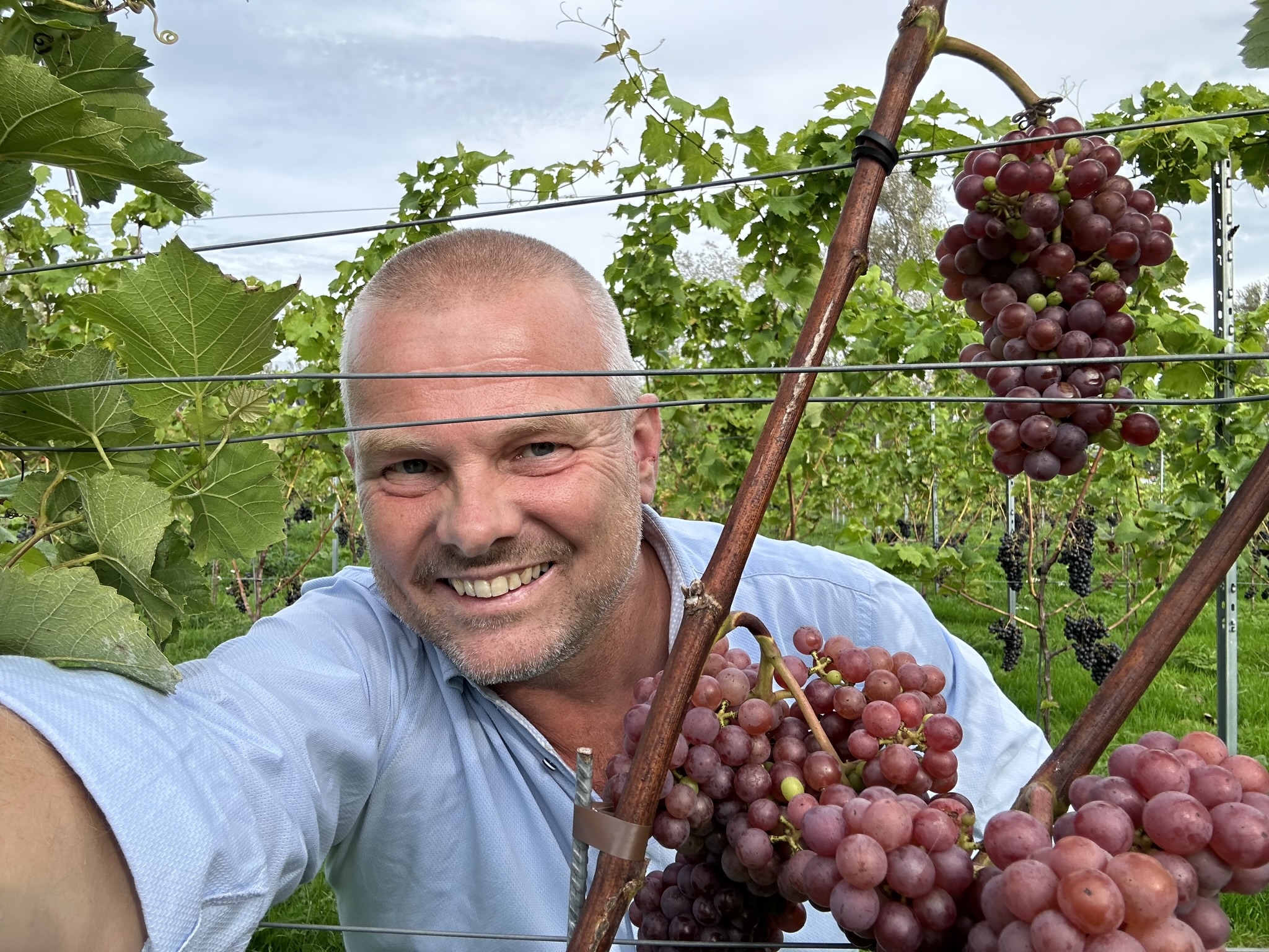 Ledenwijngaard maakt leden eigenaar