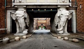 Brouwwereld: Nederlandse CEO verlaat zesde brouwerij van de wereld met gerust hart