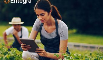 Entegra bundelt krachten met vijf wereldwijde hotelbedrijven