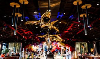 The Harbour Club introduceert dynamic pricing: “Een steak hoeft niet altijd hetzelfde te kosten”