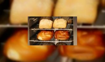 Vers brood ruikt het lekkerst