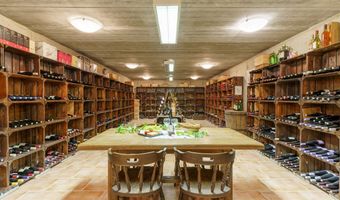 B&B te koop: Monumentale pastorie uit 1830 met wijnkelder