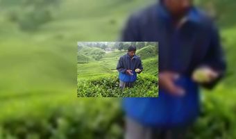 A label voor koffie- en theemerken