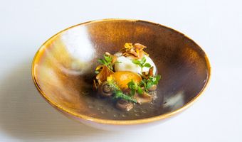 JRE-Nederland doet mee aan De Nationale Week Zonder Vlees & Zuivel