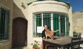 B&B Petra Fig Tree Villa: Waar toekomst en verleden hand in hand gaan