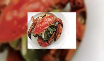 Bottles wint Zilveren Oester