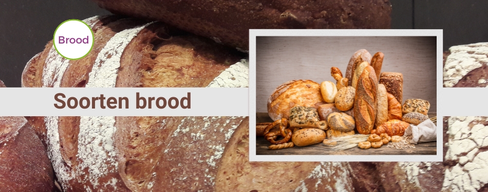 Ontdek de verschillende soorten brood voor jouw lunchroom