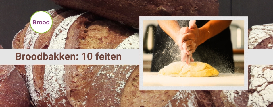 10 feiten die je helpen het perfecte brood te bakken voor jouw horecazaak