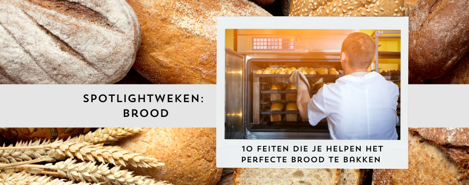 10 feiten die je helpen het perfecte brood te bakken voor jouw horecazaak