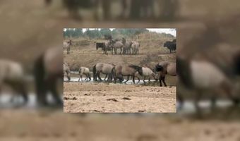 Re-intergratiebedrijf met bed & breakfast