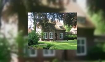 Drie tulpen voor Veenloopcentrum