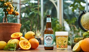 Lowlander onderzoekt: horeca kan miljoenen extra omzet realiseren met alcoholvrij en -arm bier