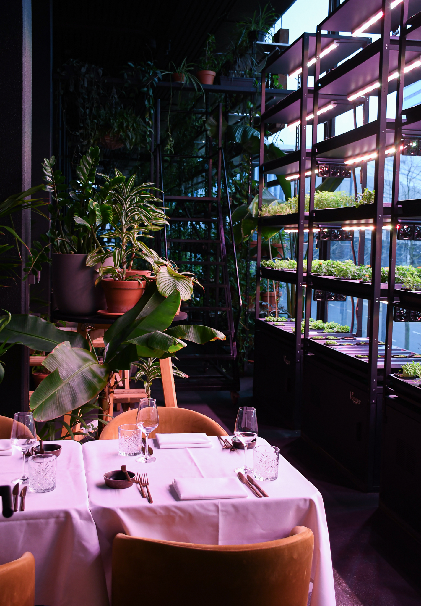 Restaurant LOCALS introduceert exclusieve Chef’s Table ervaringen