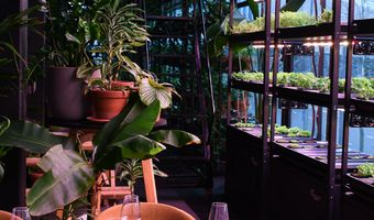 Restaurant LOCALS introduceert exclusieve Chef’s Table ervaringen