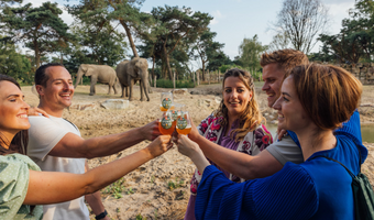 Bieraanbod tijdens vierde editie 'Brew@theZoo' in Beekse Bergen groter dan ooit