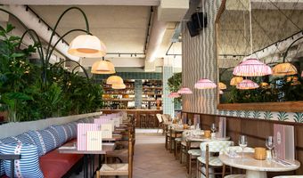 Vegitalian past koers aan: Amsterdam sluit, Rotterdam krijgt nieuw leven als Bar Picar